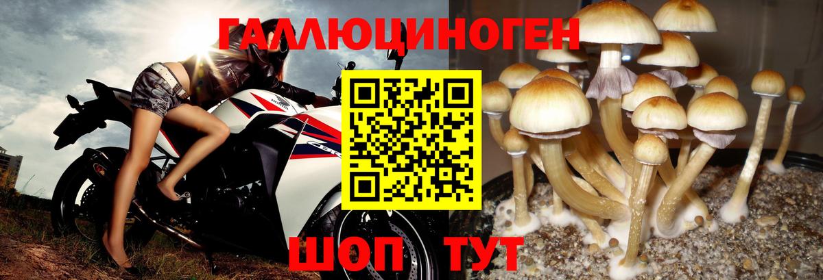 Галлюциногенные грибы мухоморы Нарткала